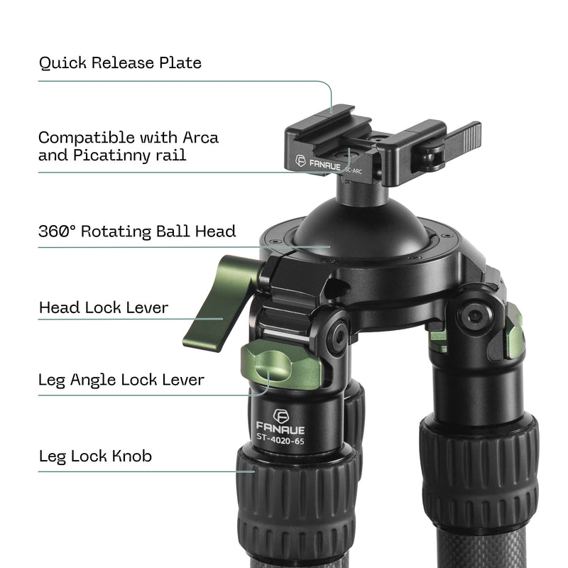 Load image into Gallery viewer, FANAUE ST Series Traditional Style Inverted 2 section Carbon Fiber Tripod Compatible With Arca Swiss and Picatinny Rail(Load 25kg))
