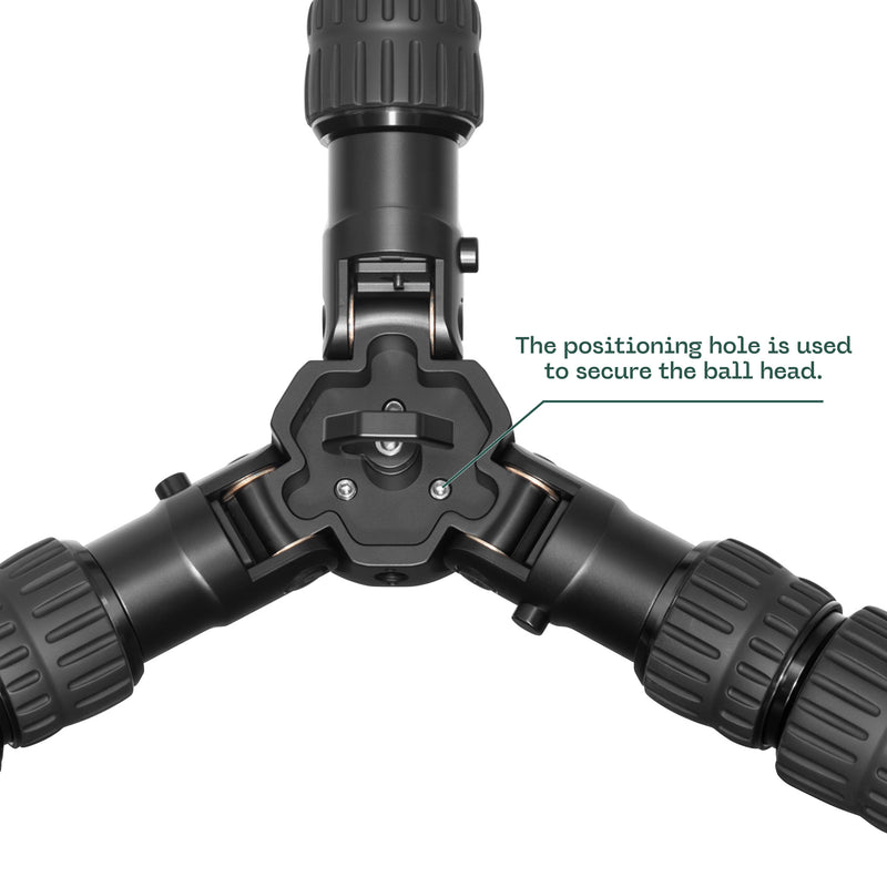 Load image into Gallery viewer, FANAUE HTC CK Series Inverted Carbon Fiber Tripod Without Ball Head For Shooting Hunting Photography
