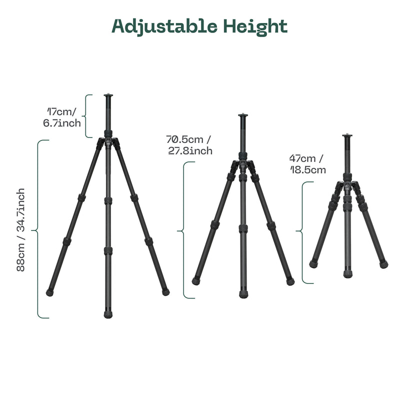 Load image into Gallery viewer, FANAUE HTC-2830CT Inverted Carbon Fiber Travel Tripod with Center Column for DSLR Cameras, 3-Sections, Load 12KG/26lb
