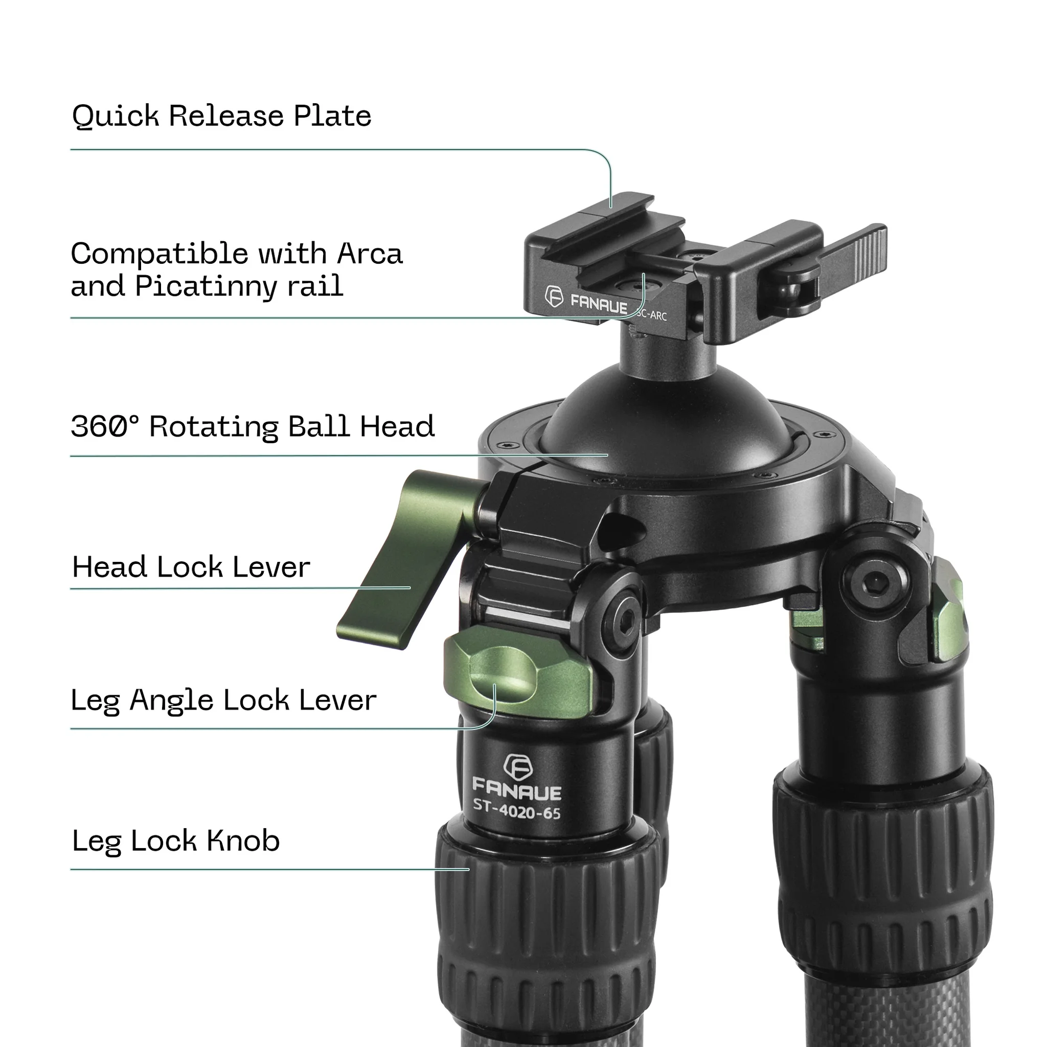 FANAUE ST Series Traditional Style Inverted 2 section Carbon Fiber Tripod Compatible With Arca Swiss and Picatinny Rail(Load 25/30kg)