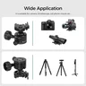 FANAUE XB-40T 360°Panning Ball head  for Tripod with Arca-Swiss Quick Release Plate (Base diameter 55 mm/2.16inch)
