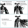 FANAUE HTC series Inverted Carbon Fiber Tripod For Hunting Shooting,Compatible With Arca Swiss And Picatinny Rail (2/3 section,Load:30kg)Rail (2/3 section,Load:30kg)